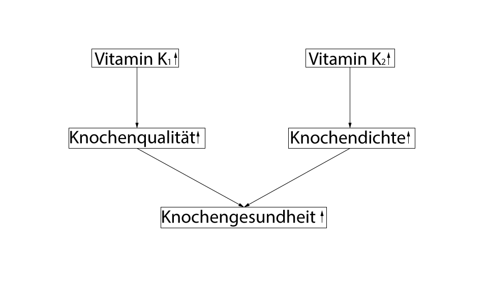 Vitamin K Supplemente Osteoporose